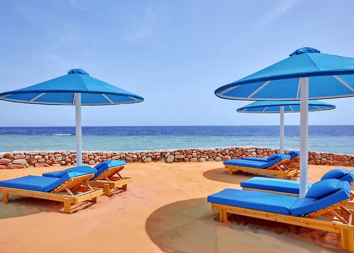 Pickalbatros Royal Grand - Adults Friendly 16 Years Resort 5*