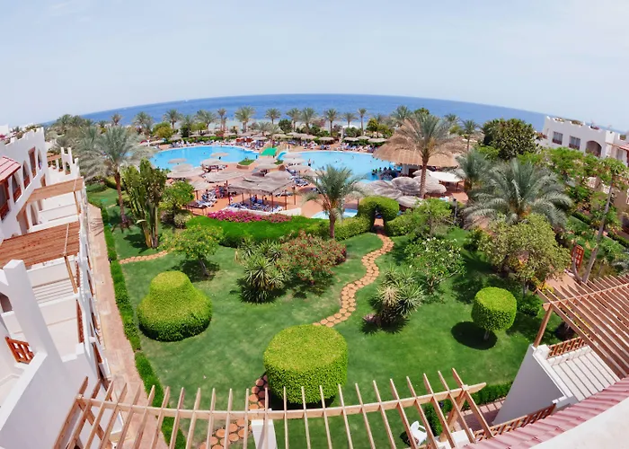 Pickalbatros Royal Grand - Adults Friendly 16 Years Resort 5*